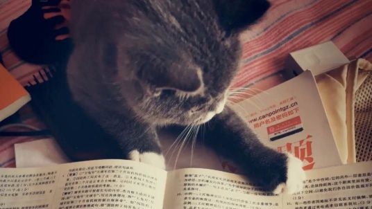 大学电子教材在哪里下载？分享几个下载网站