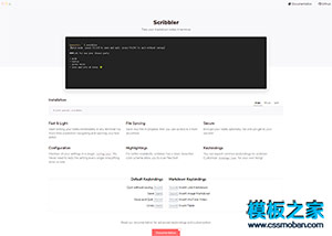 前端工具code 简洁官网模板