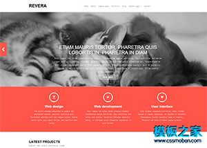 红色宽屏大气响应式商务wordpress企业主题