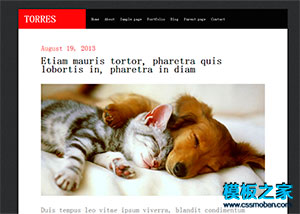 黑色大图简洁灯具企业wordpress模板