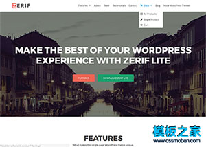 电子商务网站制作公司wp主题模板