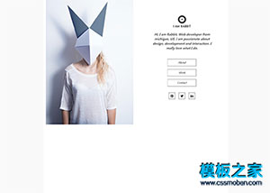 developer 个人主页jquery动画效果模板