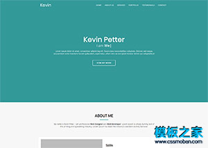 Web Developer技术开发者博客网站模板