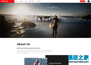 海上冲浪旅游项目介绍展示网页模板