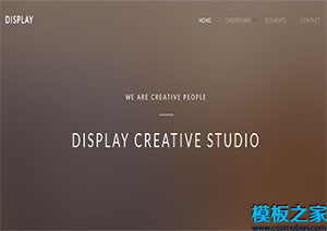 display干净整洁完全响应式选项卡网站模板