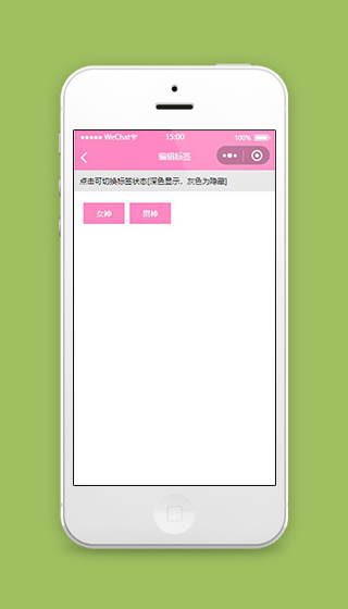 识明星小程序编辑标签页面源码