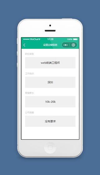 简历小程序设置定制信息页面源码