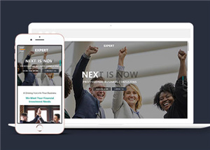 简洁专业机构团队展示响应式网页模板