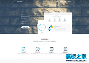 software亮蓝色互联网软件开发公司模板